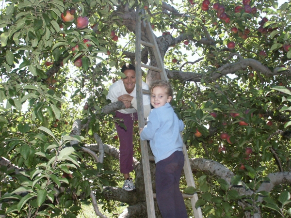 Click for the original image