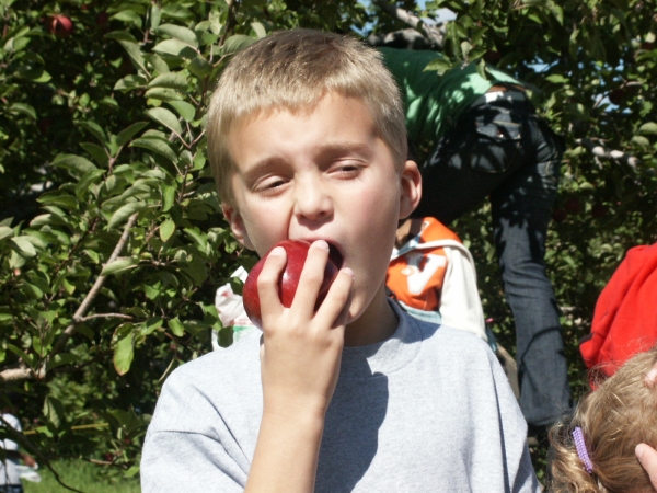 Click for the original image