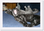 CIMG0472 * 612 x 407 * (252KB)