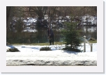 CIMG0506 * 612 x 407 * (247KB)