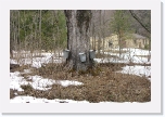 CIMG0579 * 612 x 407 * (325KB)