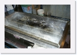 CIMG0586 * 612 x 407 * (249KB)