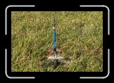 CIMG3587 * 1624 x 1083 * (2.2MB)