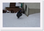 CIMG0109 * 2816 x 1872 * (2.22MB)