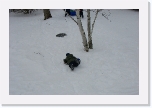 CIMG0114 * 2816 x 1872 * (2.2MB)