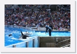 CIMG0921 * 612 x 407 * (337KB)