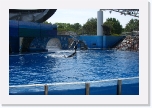 CIMG0925 * 612 x 407 * (277KB)