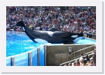 CIMG0932 * 612 x 407 * (334KB)