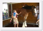 CIMG0939 * 612 x 407 * (240KB)