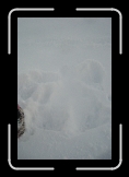 CIMG3734 * 1872 x 2816 * (2.52MB)