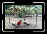 DSC_0253 * 640 x 426 * (311KB)