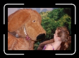 1228_DSC_0164 * 640 x 426 * (47KB)