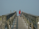 PICT0024 * 1600 x 1200 * (796KB)