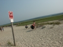 PICT0031 * 1600 x 1200 * (807KB)