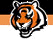 Click to go to Cincinnati Bengals @ NFL.COM